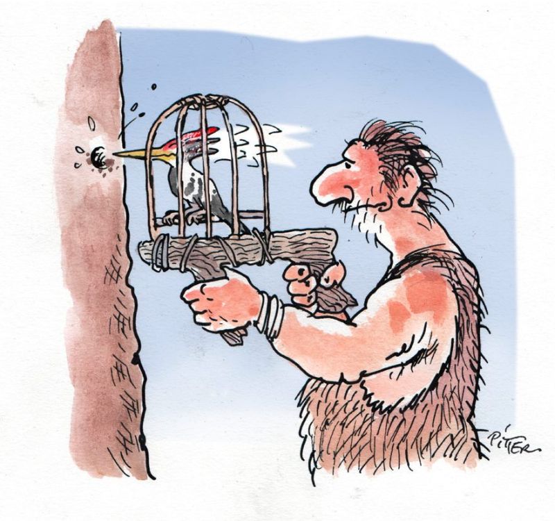 cartoon014